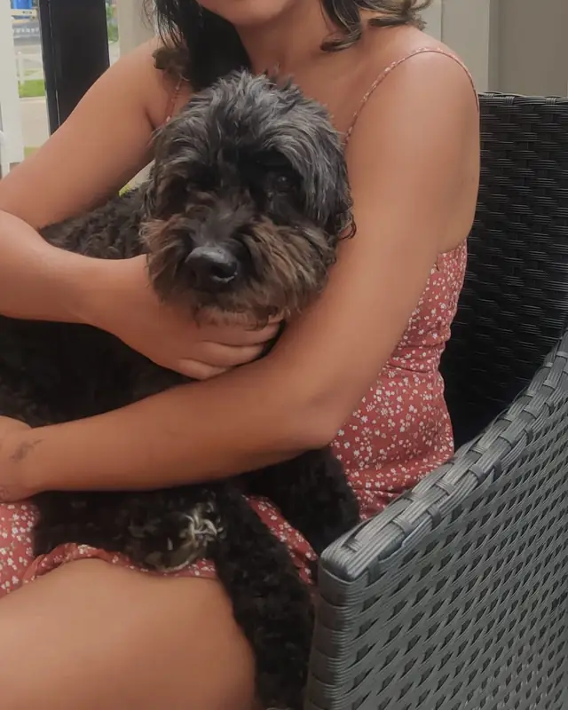 Rocky, a pet cared for in Toronto through Hello Marshy